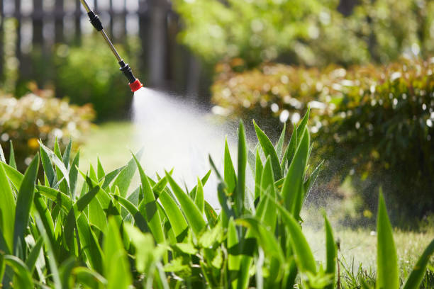24/7 Emergency Mosquito Control experts in Hazard, KY